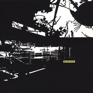 Various Artists - Delivery Room  CD